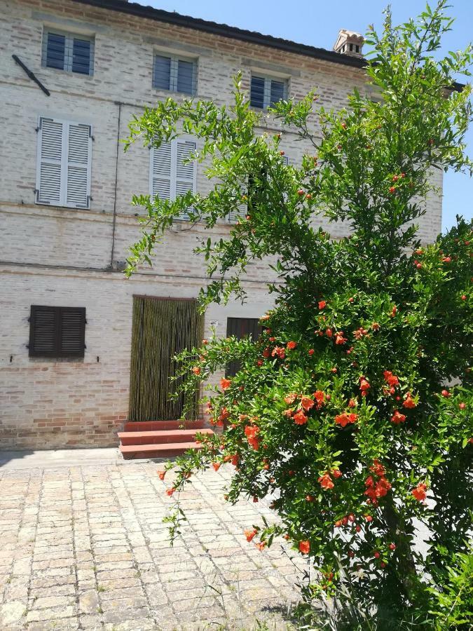 Casa Vacanze Da Peppa Grottazzolina Exterior foto