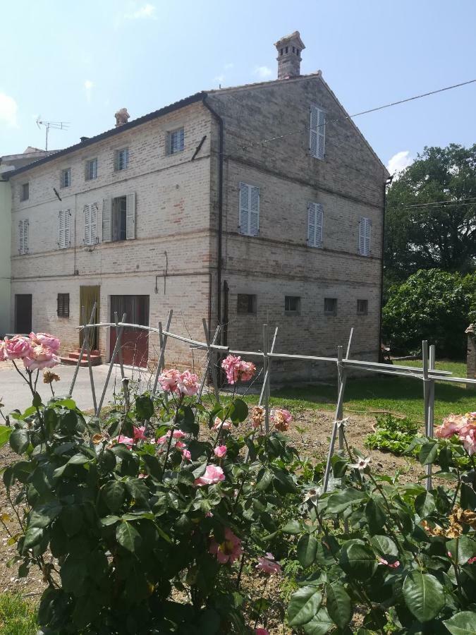Casa Vacanze Da Peppa Grottazzolina Exterior foto